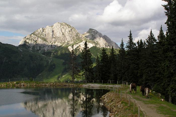 Karnichské Alpy