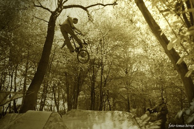 Pavel Kohout