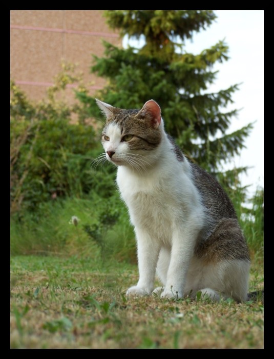 Monty