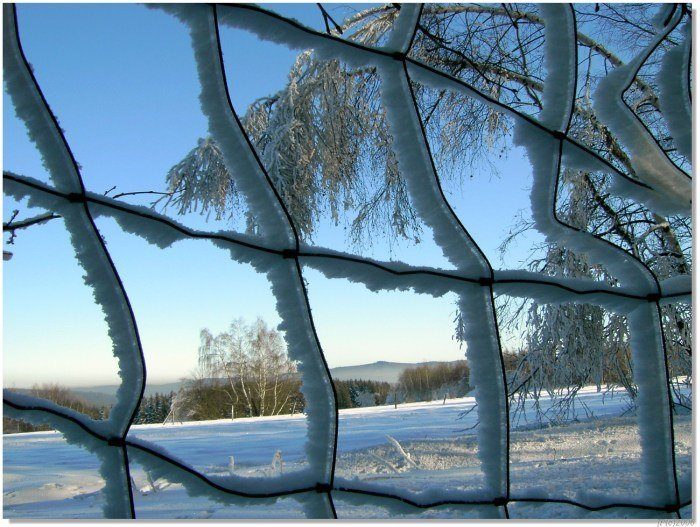 Arested winter 2006