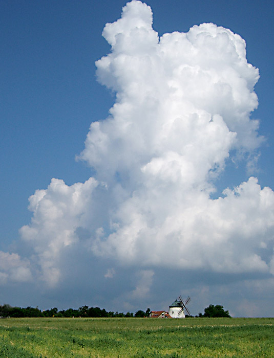 Lesná