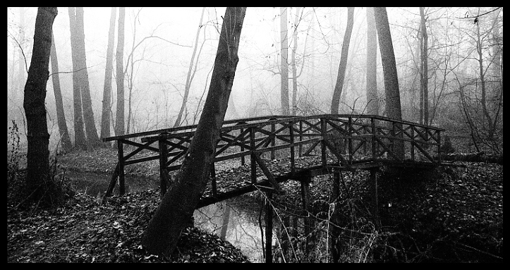 Návraty do veltruského parku XIX - artefakty 1