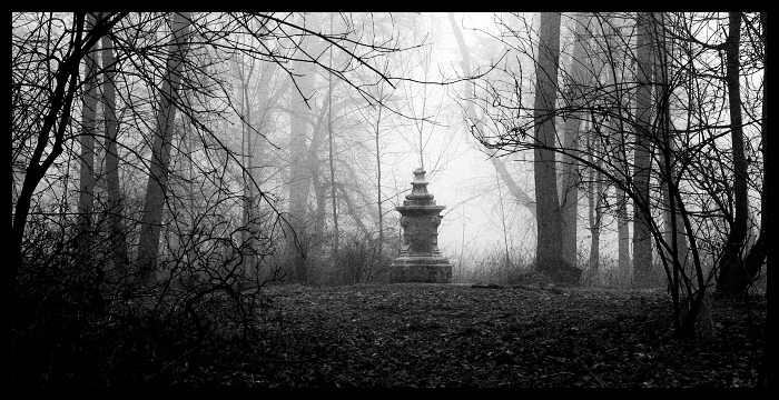 Návraty do veltruského parku XIX - artefakty 3