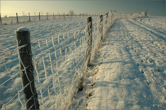 Zimní kůlování I.