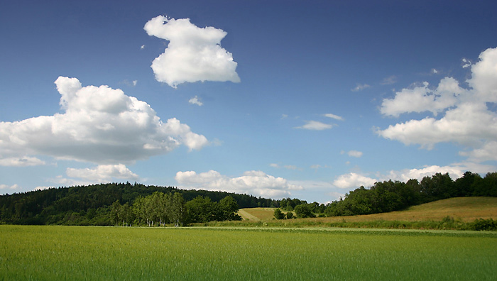 Mladovožicko