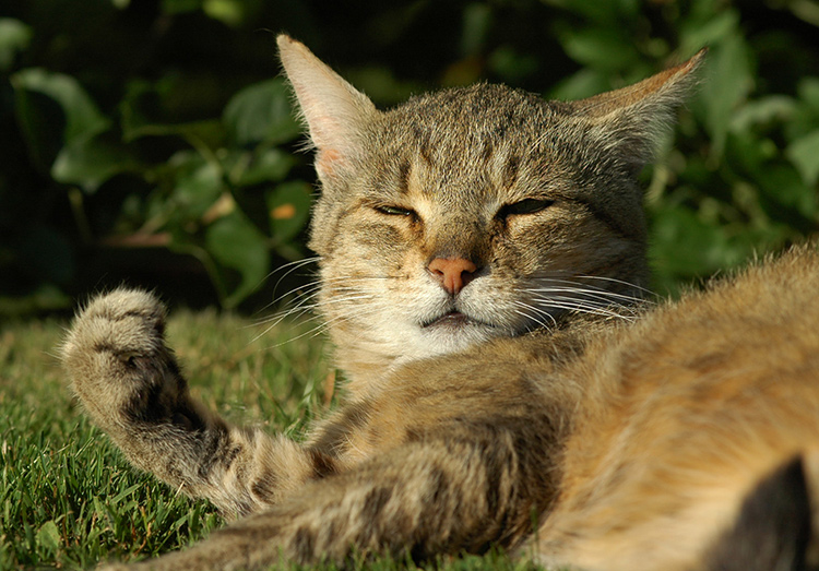 Už jednou jsem tě poslal někam, tak nevotravuj !!!