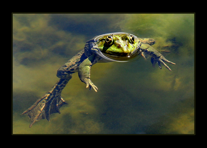 V pohodě ve vodě...