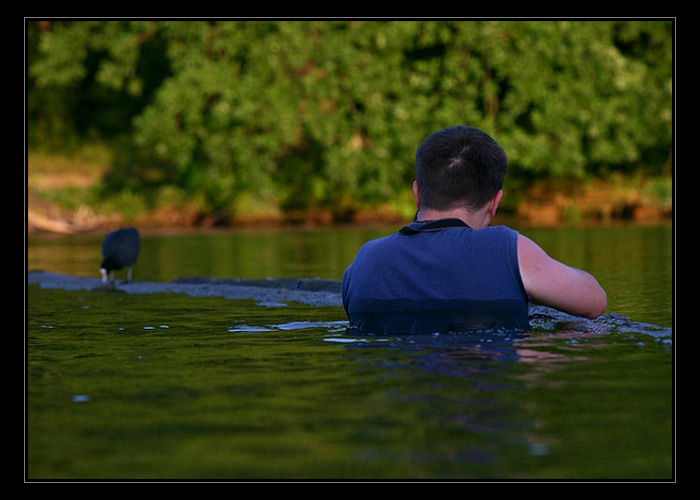 jak Honza kachnám pokoj nedal...