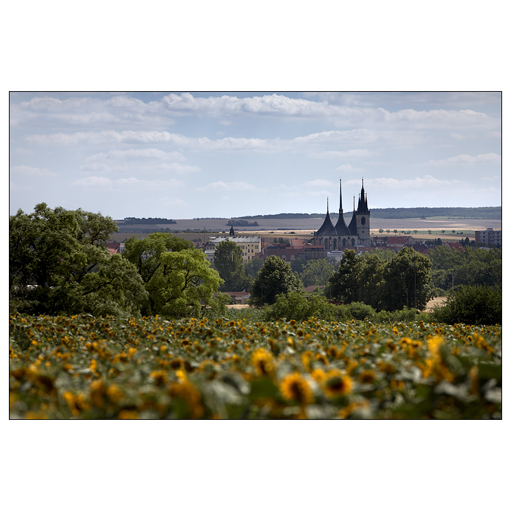 Louny