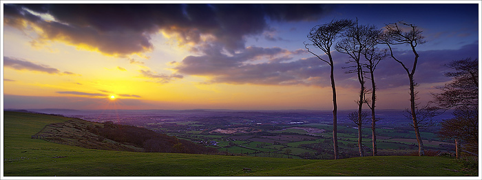 Chanctonbury Ring II