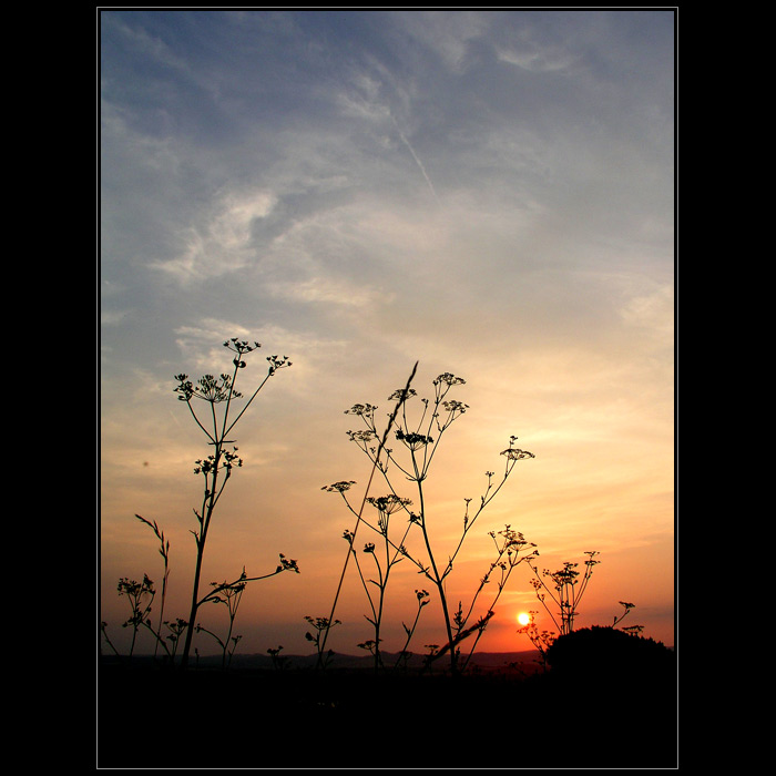 - Sunset Colours -