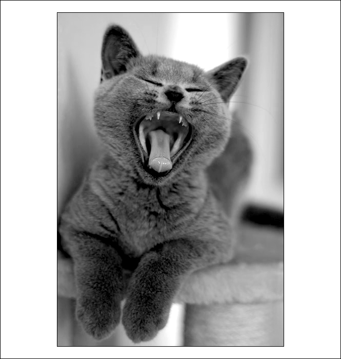 ..nuda..