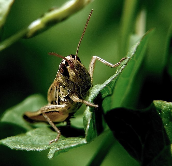 ...jenom juknu a mizím...