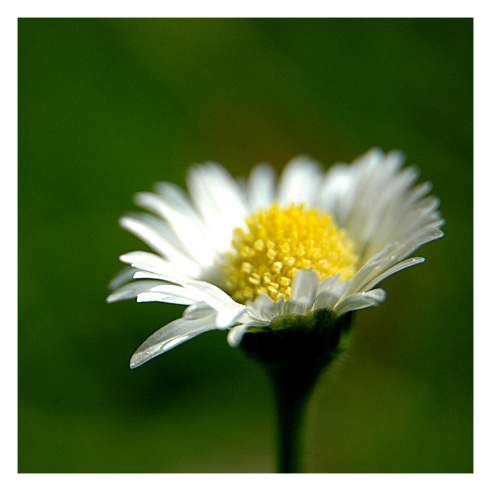 = Malé, velké věci ... =