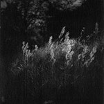 FOMAPAN 800 - Expirace 07/1987 ...