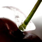 třešňová série I.