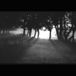 Stromem a stínem protínám ráno II.