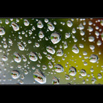 Miliony mikrosvětů