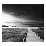 ......VOLÁNÍ......