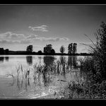 _li__l_i_lli_l_ll___