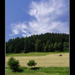 Socialistický realismus