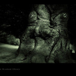 Z časů kdy i les měl svého strážce...