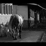 Zezadu a zase jinak...