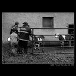 ..:: Nááá malá ::..