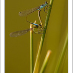 Prý se tomu říká láska!