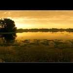 * večerní paprsky *