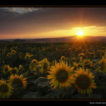 Kam chodí slunce spát ...