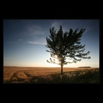 Ještě než jde spát...