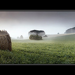 -- ráno u Vltavy --