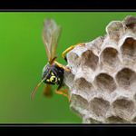 ..tady jsem doma já..