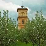 -I-I-., I\'I ,.-I-I-