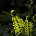 Poood, uz musime ist....