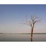 ...na jižní Moravě...