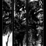 Odpovědi leží uvnitř