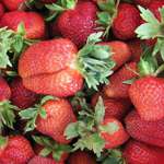 to je ale úrodička!