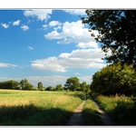 Letné popoludnie II