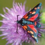 vřetenuška-půdorys