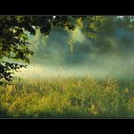 Když chataři grilují