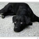 bože, ty to vidíš ...