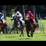 -=[ aj kone vedia lietat ]=-