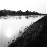 Labe III