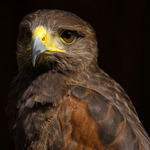 ked sa nahnevam budem ....