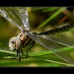 Tak, roztáhnout a sušit...