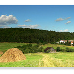 Středočeská krajinka
