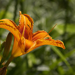 ženě ani.....neublížíš