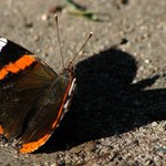 Prý tu někdo viděl Batmana :-)